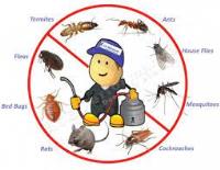 Pest Control Bribie Island image 1